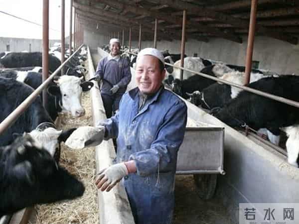 愈挫愈勇逐梦小康的阿怀禄