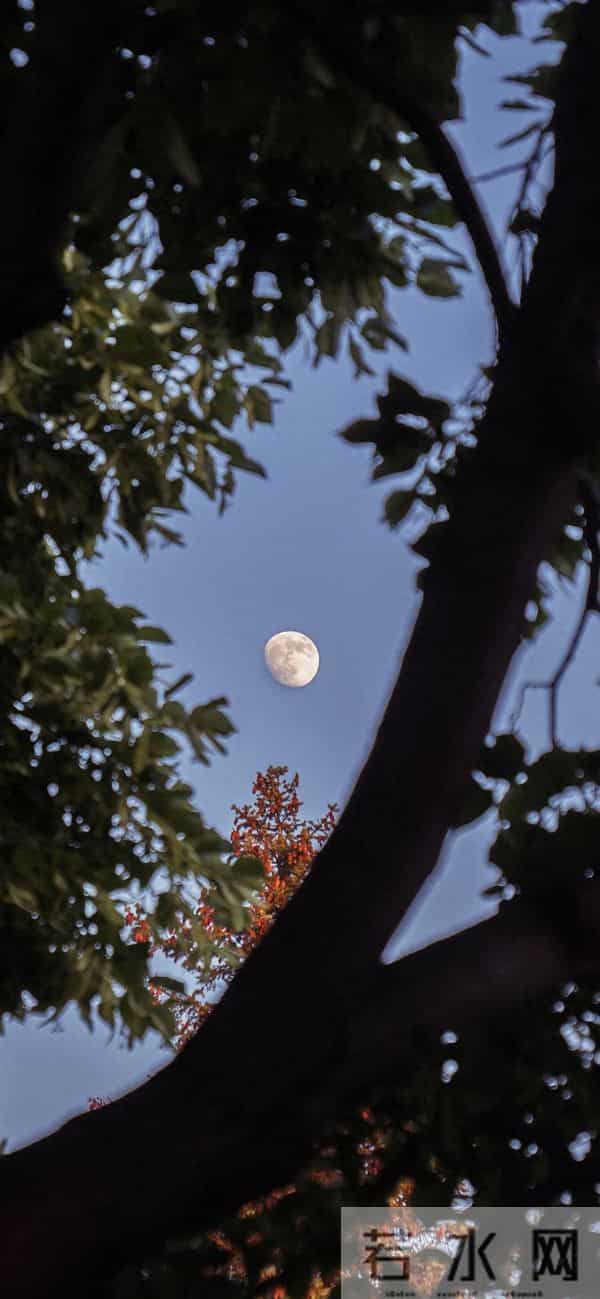 我和姐姐断交9年，那天在街上看到她的变化，我控制不住湿了眼眶