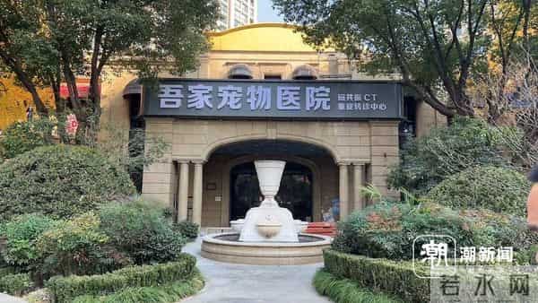 杭州一小区门口开了家宠物重症医院，业主吵翻了，老板很无奈