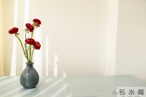 我们都要好好的：风雨人生，向阳而行