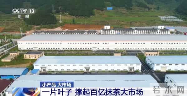 从一片树叶、一杯咖啡到美妆小瓶罐 看小产品如何撬动大市场