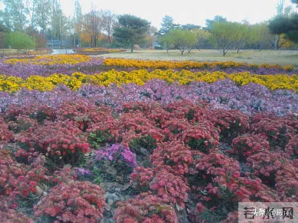漫谈高中物理的学习方法之一