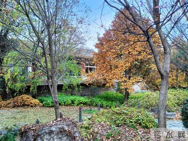 漫谈高中物理的学习方法之一