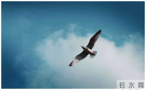 《飞鸟集》最浪漫的十句话，至善至美，让人变得更美好