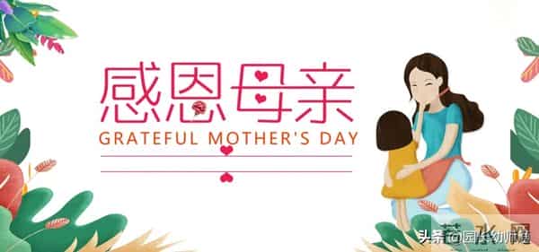 幼儿园大、中、小班母亲节活动方案，超赞！看到的幼师都收藏了