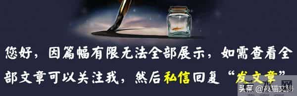 公司财务个人年终工作总结