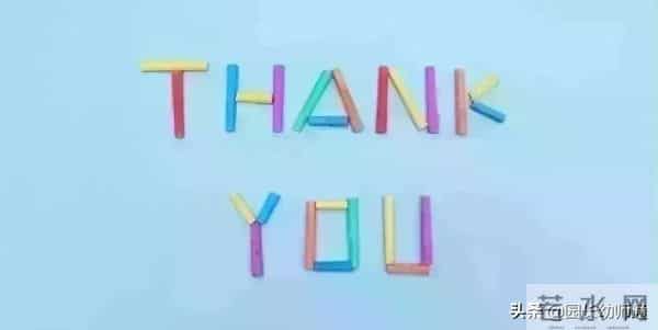 幼儿园大、中、小班母亲节活动方案，超赞！看到的幼师都收藏了