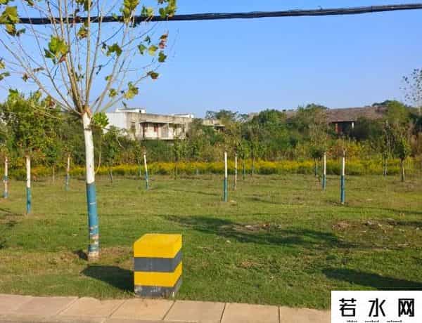 重磅！武汉又一部属高校新校区要来了？