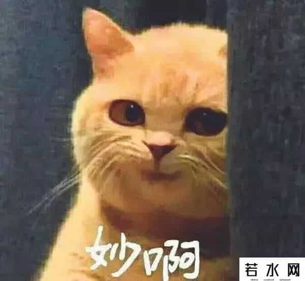 yydXXL,网上现在最火的弹幕,能看懂的算你赢