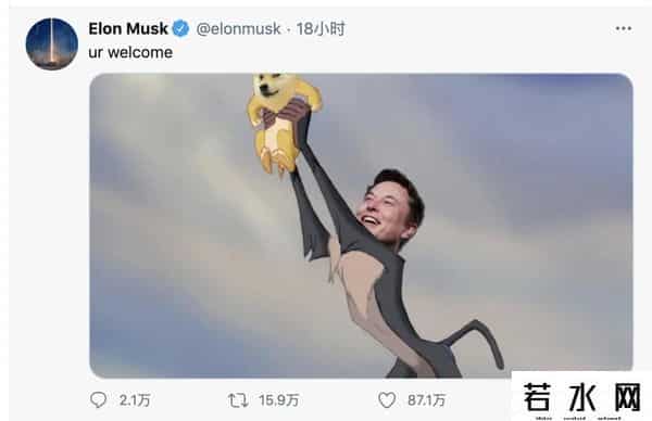 doge狗,狗狗币创始人还在打工，我却提前赚到了养老的钱