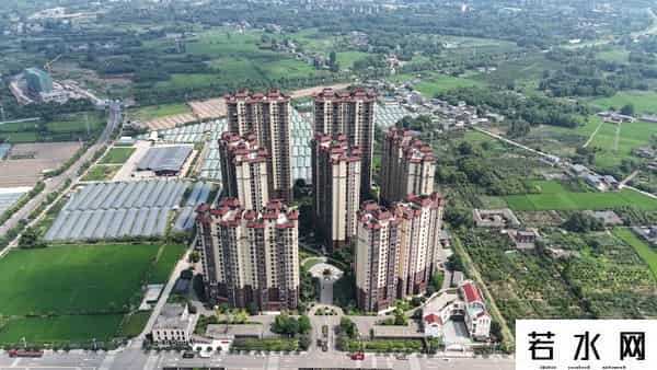 东坡国企样本：兴东集团以改革赋能 构建六大产业矩阵