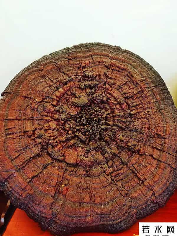 阿依恋,实地考察调研文旅融合发展：彭水行