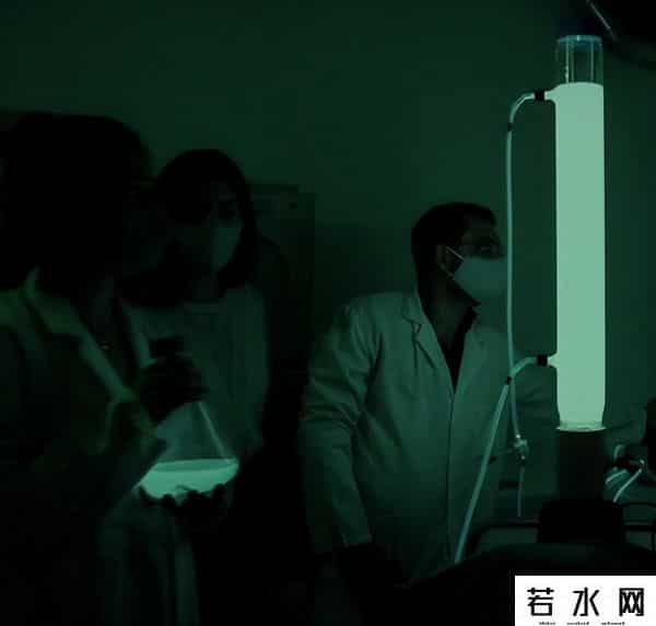 发光树,《阿凡达》里的「生物发光树」成真了!这个小镇的赛博路灯不简单