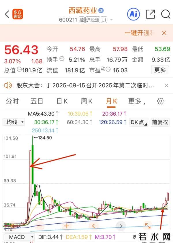 聊聊我的持仓