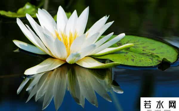 炫历中国,铁流诗词，五月专辑，谁持妙笔绘初夏，各人添彩意不同