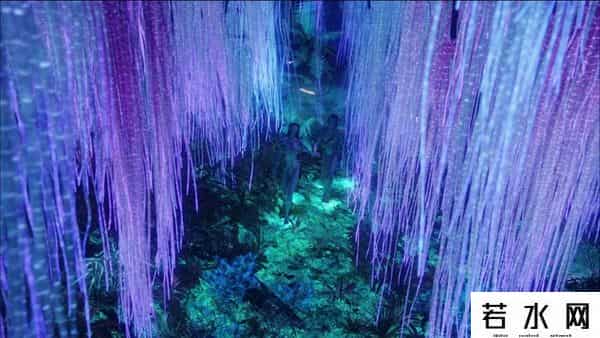 发光树,《阿凡达》里的「生物发光树」成真了!这个小镇的赛博路灯不简单