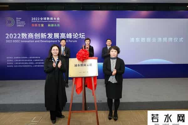 数商,上海率先提出的“数商”是什么？在浦东召开的这个大会给予真金白银的支持