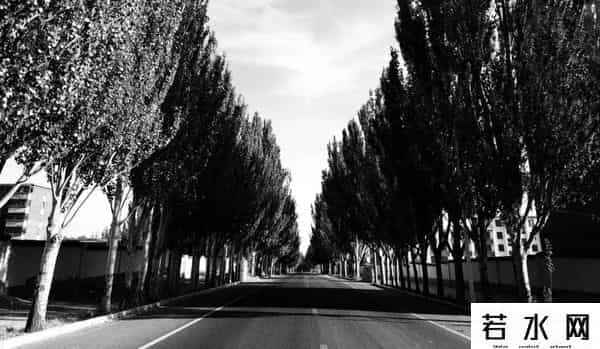 生锈游乐场,城市废墟探索者:我见过废弃的旅馆、监狱和屠宰场