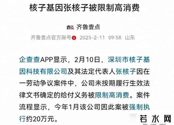 “核酸大王”张核子事件回顾：从日进斗金到沦为老赖他只用了三年