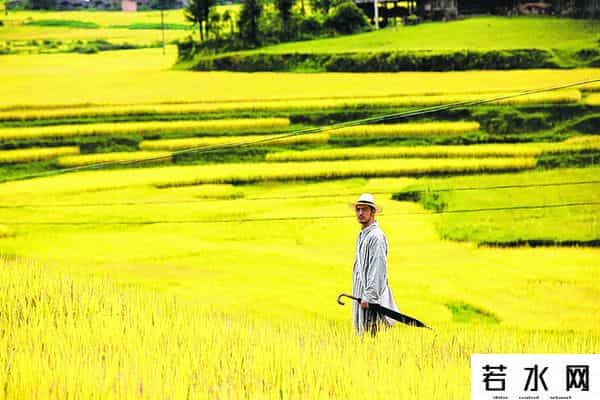 葛福鸿,51岁金城武近况曝光：隐居7年，在乡下种田