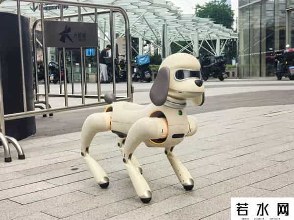 千亿级IP市场激活文旅新消费：“巨星狗”上海旅游节首秀，“周同学”空降魔都