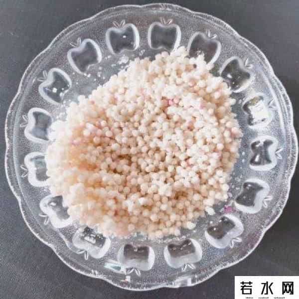 西米网,甜粽VS咸粽，你是哪一党？西米粽