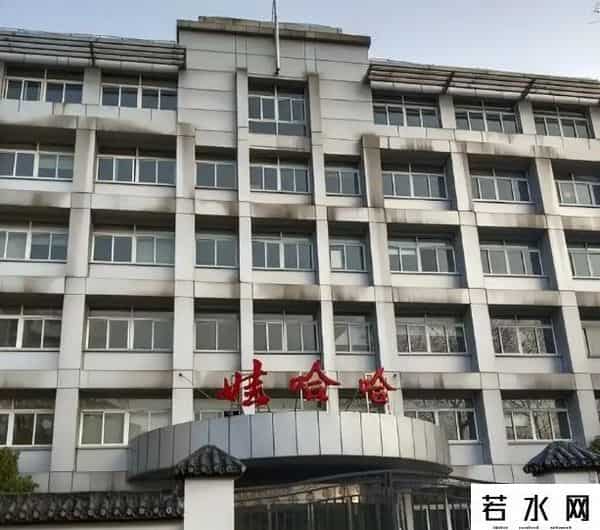 娃哈哈遗产案开庭在即，宗馥莉继承全部股权，亲子鉴定难改事实