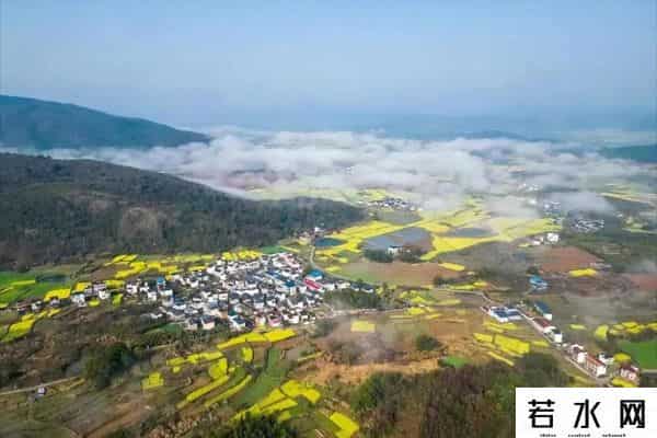 2025 柴桑区重点项目大盘点，发展活力爆棚！