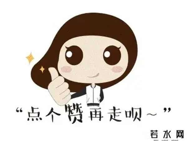 DeepSeek对利欧股份的分析