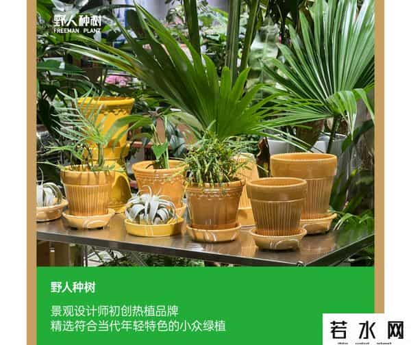 新天地东台里将于九月底开始试营业！
