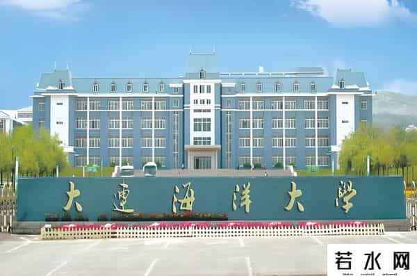县城医生之子，西贝创始人贾国龙，大学时退学经商九五年年入百万