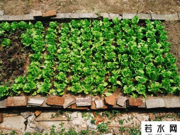 生锈游乐场,城市废墟探索者:我见过废弃的旅馆、监狱和屠宰场