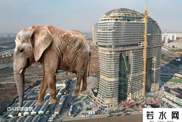 砸33亿！浙江惊现180米“大象楼”招商了！网友：这造型太敢了