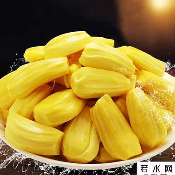 菠萝志,波罗蜜是一种什么样的果树？