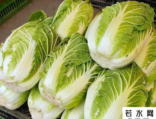 韩国媒体问：若停止进口大白菜，中国经济或倒退三十年