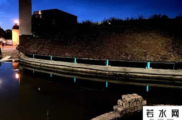 发光树,《阿凡达》里的「生物发光树」成真了!这个小镇的赛博路灯不简单