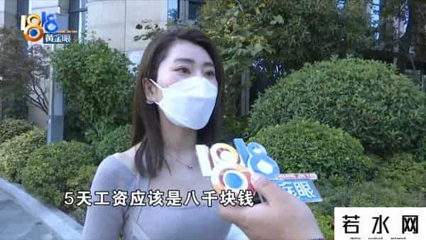 小马,“小马今天遇到困难了”