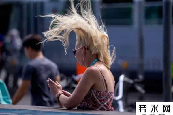 澳洲街道出现奇景！华人大叔的家成社区焦点…