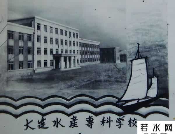 县城医生之子，西贝创始人贾国龙，大学时退学经商九五年年入百万