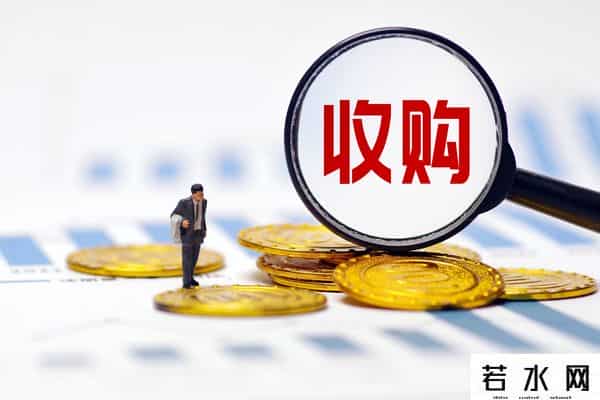 13.79亿搞收购，还要赴港IPO，王泽宁接手后万辰集团想干嘛？