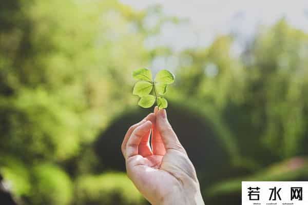 下周开盘要读的文章：如何在接下来的牛市让自己利润最大化能？