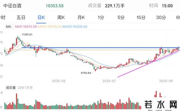 CPO芯片医酒、游戏机器，谁是主线？如何避免均摊成本的错误？