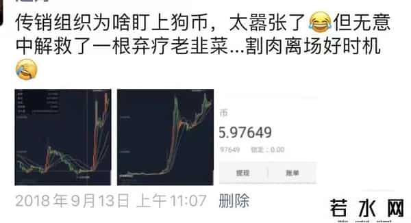 doge狗,狗狗币创始人还在打工，我却提前赚到了养老的钱