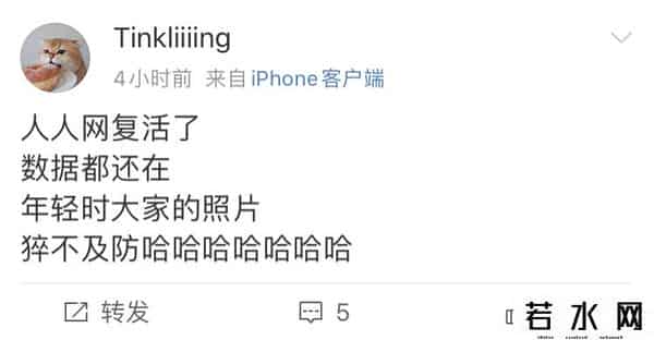 人人网数据库,人人网回归!历史记录全保留,网友坐不住了