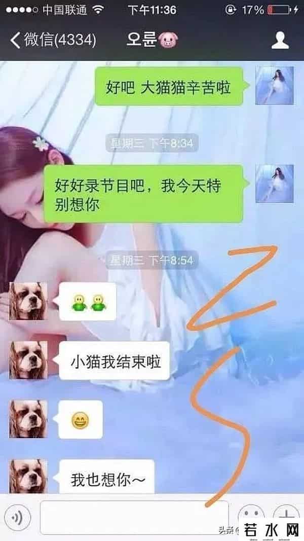 飞轮海的综艺节目