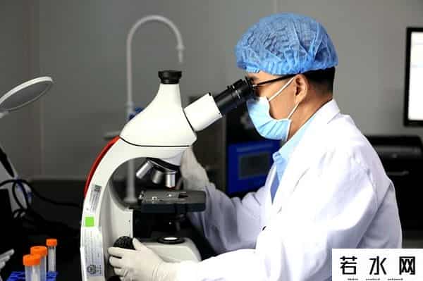 南大案破了为何不公开