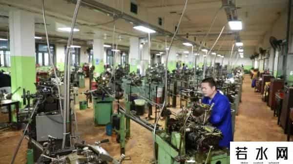 桂花表一夜翻红开启限购