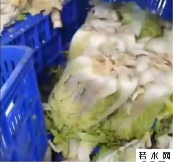 韩国近一半泡菜生产商关闭