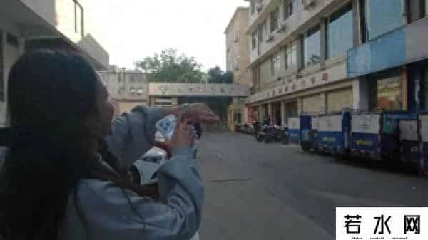 桂花表一夜翻红开启限购