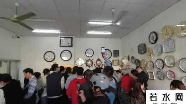 桂花表一夜翻红开启限购